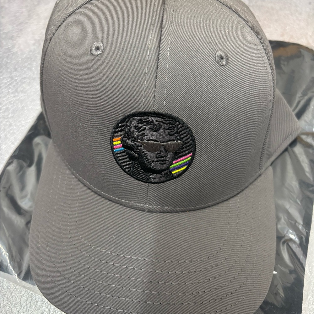 Swag Hamilton Gray Snapback with Embroidered Design Brand New